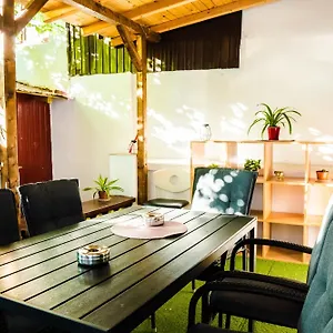  Auberge de jeunesse Sport Roumanie
